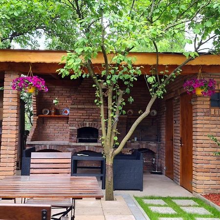 Willa Cozy House With Nice Garden In Heart Of City Center Kluż-Napoka Zewnętrze zdjęcie