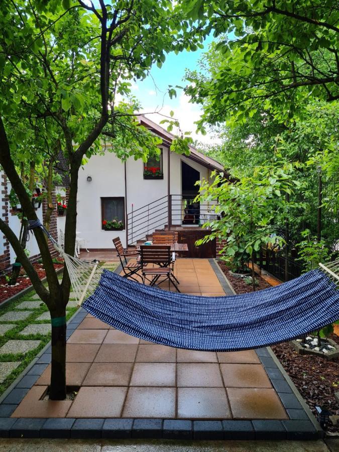 Willa Cozy House With Nice Garden In Heart Of City Center Kluż-Napoka Zewnętrze zdjęcie