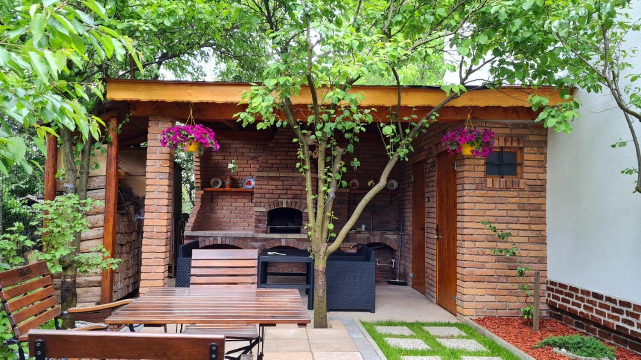 Willa Cozy House With Nice Garden In Heart Of City Center Kluż-Napoka Zewnętrze zdjęcie